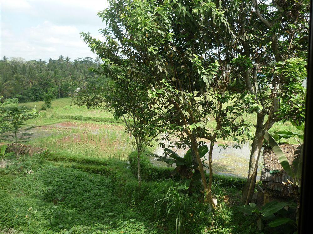Kudos Guesthouse Ubud Eksteriør bilde