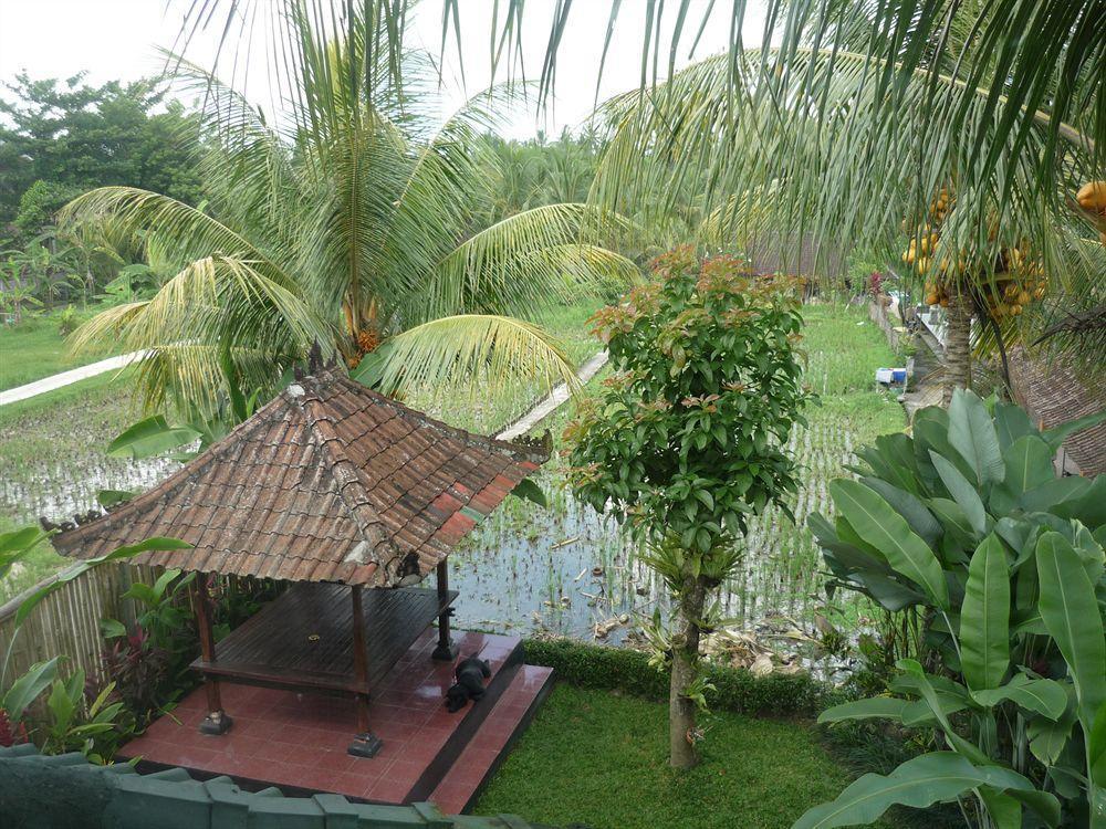Kudos Guesthouse Ubud Eksteriør bilde